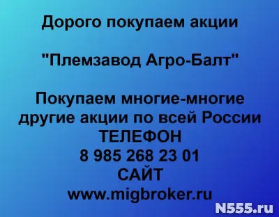 Покупаем акции «Племзавод Агро Балт»